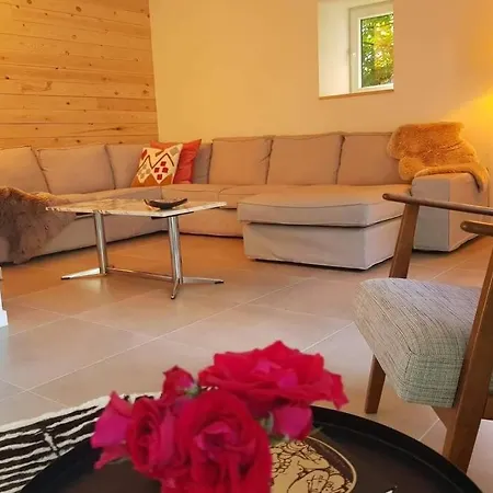 Magnifique Maison Ardennaise Avec Sauna & Jacuzzi *